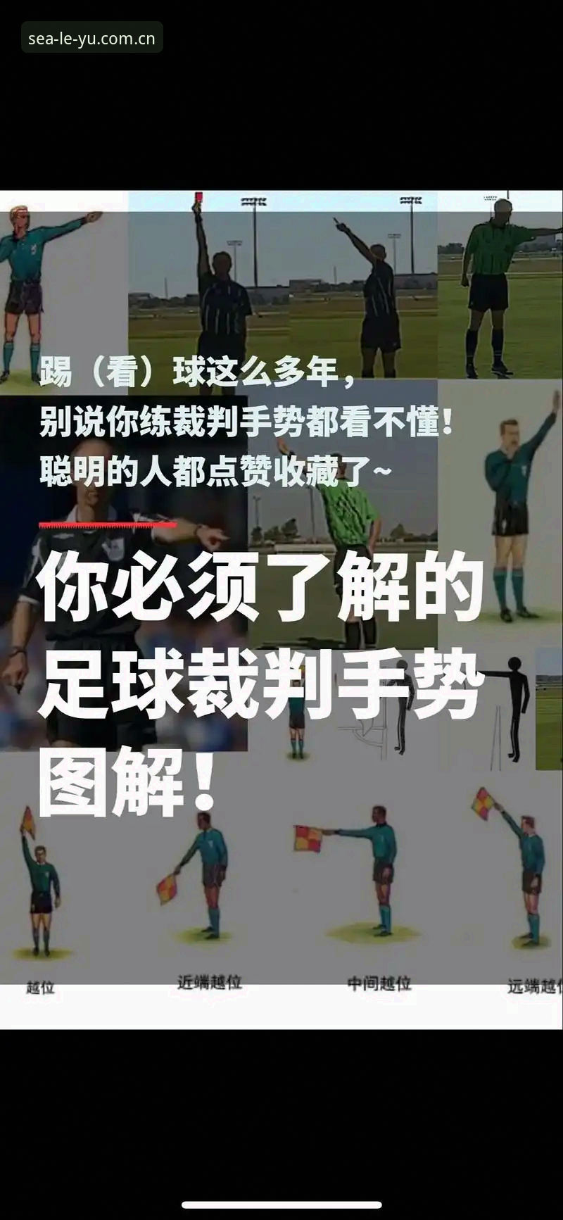 乐鱼体育赛事数据 乐鱼体育理解裁判执裁使用教程